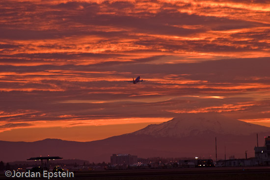 Into the red sky